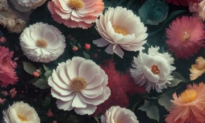 flower background