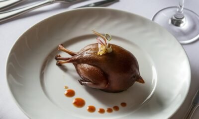 squab