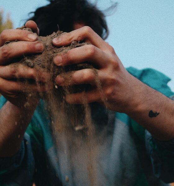You Make Beautiful Things Out of Dust Lyrics